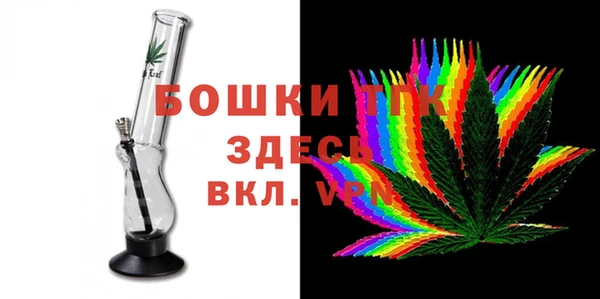 PSILOCYBIN Покачи