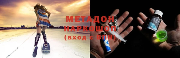 гидра Алексин