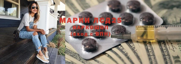 гидра Алексин